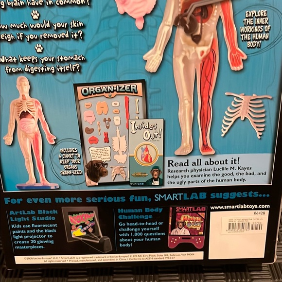 SmartLab Human Body Model - Picture 6 of 6